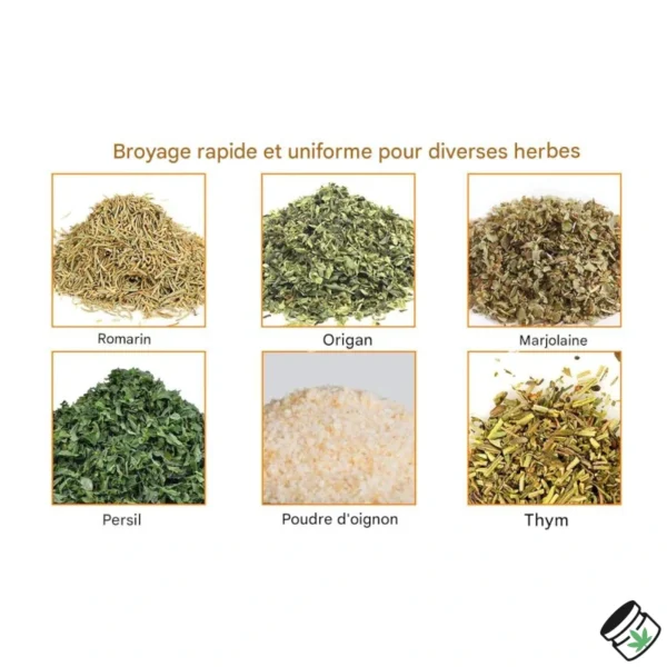 Grinder Électrique Automatique Réservoir en Verre Herbes