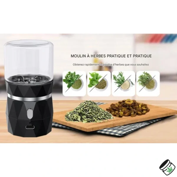 Grinder Électrique Automatique Réservoir en Verre Rapide