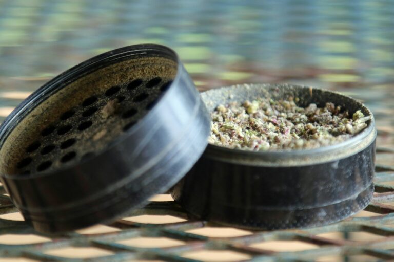 Meilleur grinder : notre sélection selon chaque utilisation
